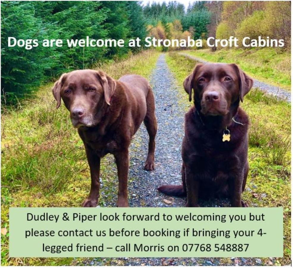 Stronaba Croft Cabins Spean Bridge Ngoại thất bức ảnh